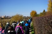 Rajd jesienny2015 - 62